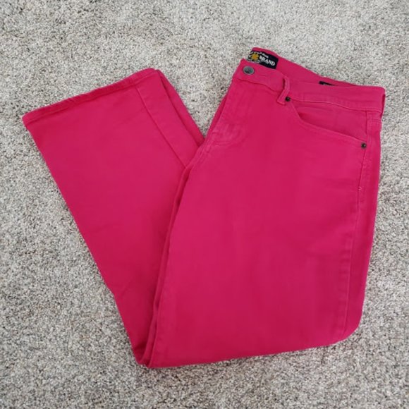 EUC Lucky Pink Pants SZ 14/32 - Picture 1 of 3